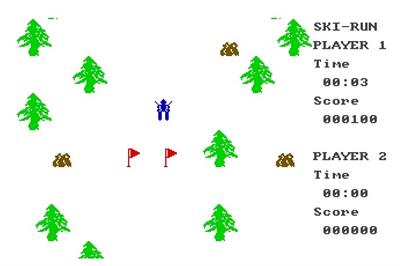 Ski-Run - Screenshot - Gameplay Image