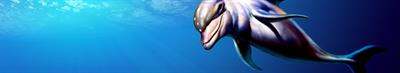 Ecco the Dolphin - Banner Image