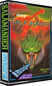 Salamander - Box - 3D