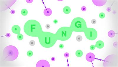 FUNGI - Banner Image