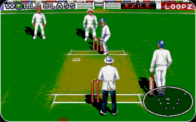 Graham Gooch World Class Cricket - Screenshot - Gameplay Image