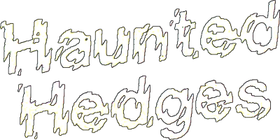 Haunted Hedges - Clear Logo Image