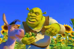 Game Boy Advance Video: DreamWorks Shrek