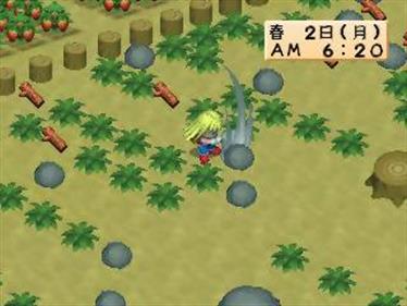 Bokujou Monogatari: Harvest Moon for Girl - Screenshot - Gameplay Image