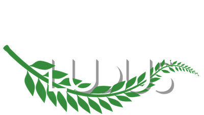 Ludus - Clear Logo Image