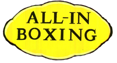 All-In Boxing - Clear Logo Image