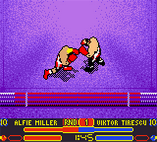 Prince Naseem Boxing - Screenshot - Gameplay Image