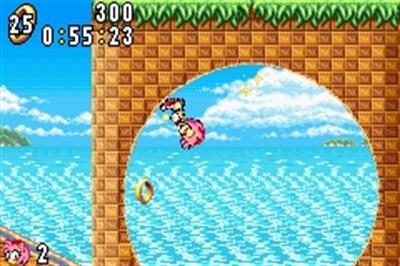 Sonic Advance - Screenshot - Gameplay Image