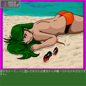 Yaritai Houdai 2: Tourist o Nerae!! - Screenshot - Gameplay Image