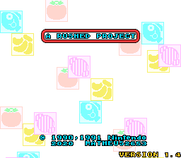 A Rushed Project