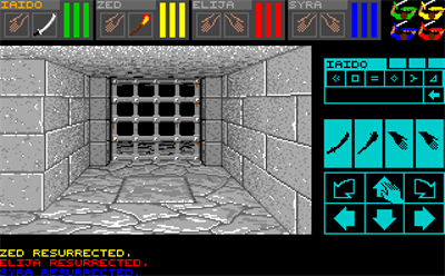 Dungeon Master - Screenshot - Gameplay Image