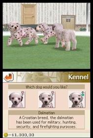 Nintendogs: Dalmatian & Friends - Screenshot - Gameplay Image