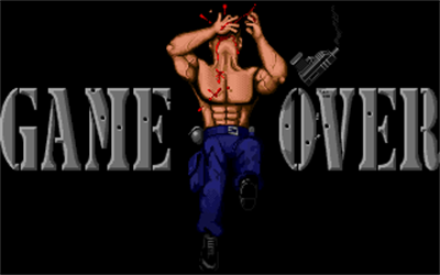 Arnie Savage: Combat Commando - Screenshot - Game Over Image