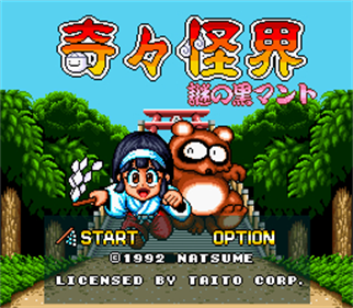 Pocky & Rocky - Screenshot - Game Title Image