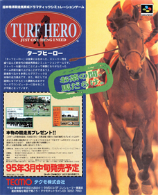 Turf Hero - Advertisement Flyer - Front Image