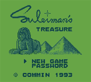 Suleiman's Treasure - Screenshot - Game Title Image