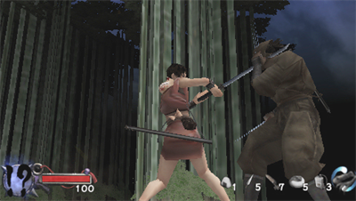 Tenchu: Time Of The Assassins - Screenshot - Gameplay Image
