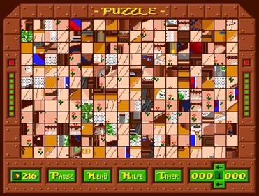 Puzzle(Oase) - Screenshot - Gameplay Image