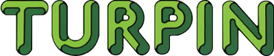 Turtles - Clear Logo Image