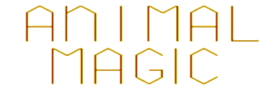 Animal Magic - Clear Logo Image