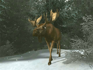 Cabela's Outdoor Adventures - Screenshot - Gameplay Image