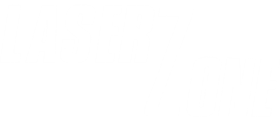 Lazer Zone - Clear Logo Image