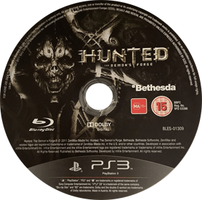 Hunted: The Demon's Forge - Disc Image