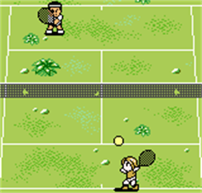 Pocket Tennis Color - Screenshot - Gameplay Image