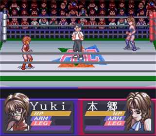 Bishoujo Wrestler Retsuden: Blizzard Yuki Rannyuu!! - Screenshot - Gameplay Image