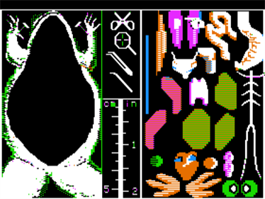 Operation: Frog - Screenshot - Gameplay Image