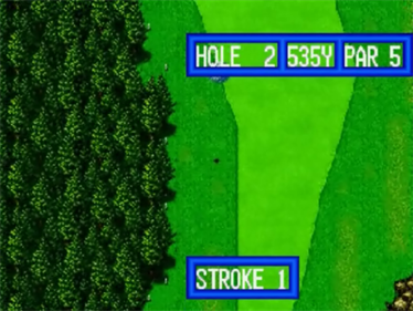 Top Player's Golf - Screenshot - Gameplay Image