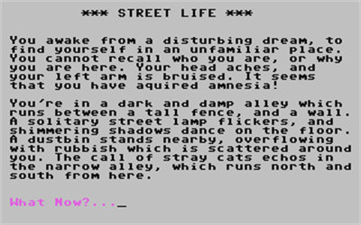 Street Life - Screenshot - Gameplay Image