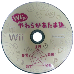 Big Brain Academy: Wii Degree - Disc Image