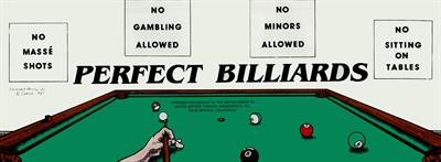 Perfect Billiard - Arcade - Marquee Image