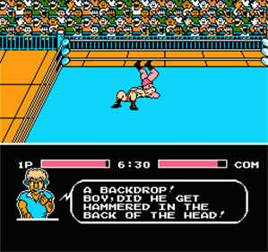 Tecmo World Wrestling - Screenshot - Gameplay Image