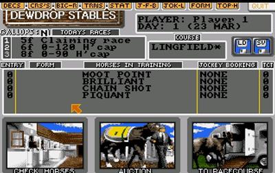 Stable Masters III - Screenshot - Gameplay Image