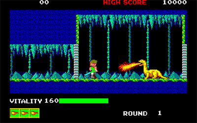 Dragon Buster - Screenshot - Gameplay Image