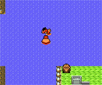 Pokémon Silver Version - Screenshot - Gameplay Image