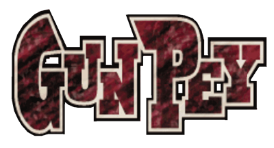 Gunpey - Clear Logo Image