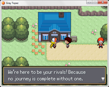 Pokémon Gray Topaz - Screenshot - Gameplay Image