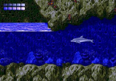 Ecco the Dolphin - Screenshot - Gameplay Image