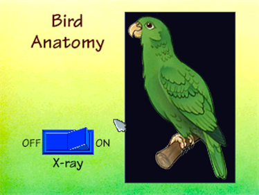 Shelley Duvall's It's A Bird's Life - Screenshot - Gameplay Image