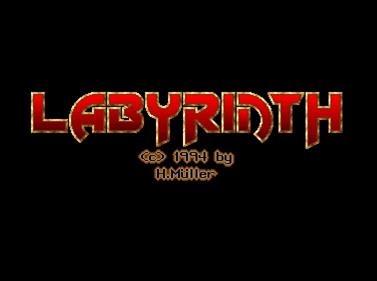 Labyrinth (Harald Müller) Images - LaunchBox Games Database