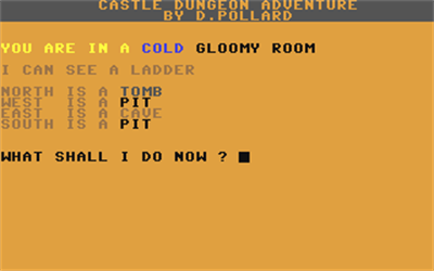 Castle Dungeon Adventure - Screenshot - Gameplay Image