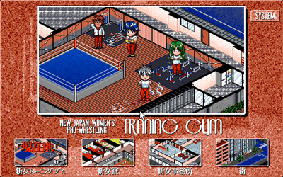 Wrestle Angels V1 - Screenshot - Gameplay Image