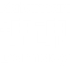 Katamari Damacy - Clear Logo Image