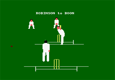 Graham Gooch's Test Cricket  - Screenshot - Gameplay Image