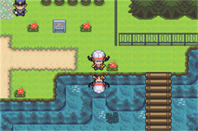 Pokémon Dark Realm - Screenshot - Gameplay Image