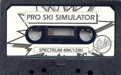 Professional Ski Simulator - Cart - Front Image