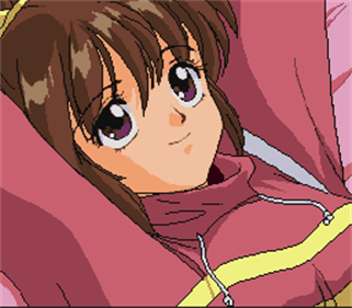 EMIT Vol. 2: Inochigake no Tabi - Screenshot - Gameplay Image